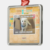 Neem je me nu naar huis? metalen ornament (Links)