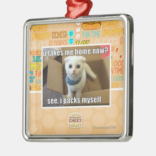 Neem je me nu naar huis? metalen ornament (Links)