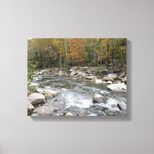 Neem me mee naar de kreek canvas afdruk (Voorkant)