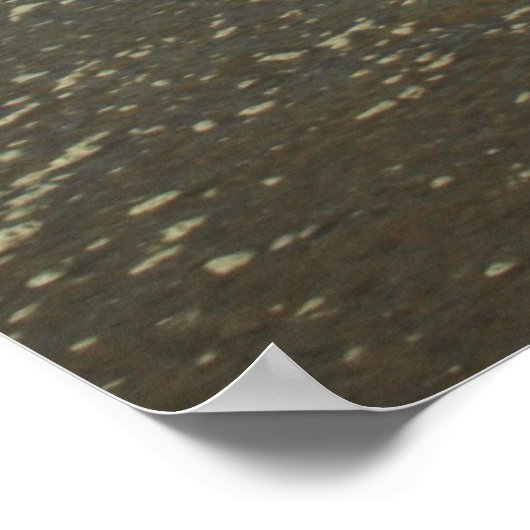 Neem me weg poster (Hoek)