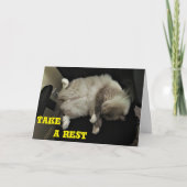 Neem rust, kaart (Voorkant)