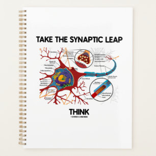 Neem Synaptic Leap Think Neuron Synapse Planner