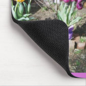 NEEM TIJD OM DE STROMEN TE VERTELLEN MUISMAT (Hoek)