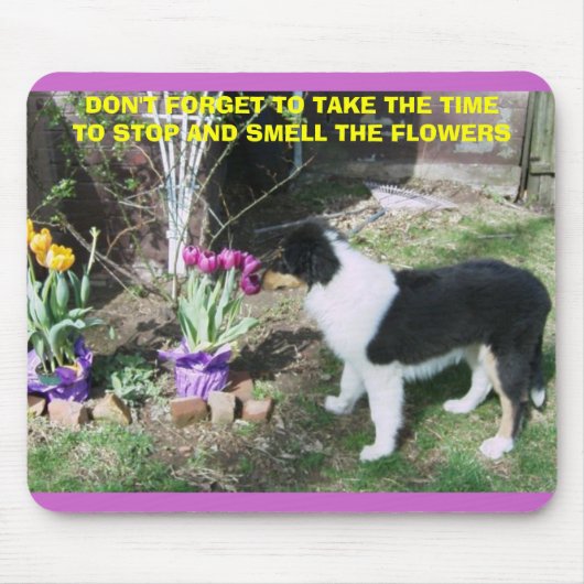 NEEM TIJD OM DE STROMEN TE VERTELLEN MUISMAT (Voorkant)