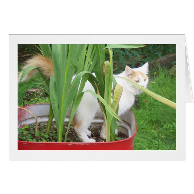 NEEM TIJD OM TE SPELEN DAT HET "UW BIRTHDAY" IS (Voorkant Horizontaal)