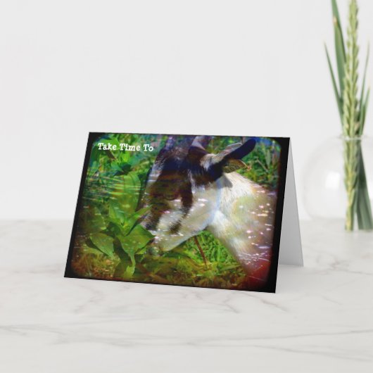 Neem tijd om te stoppen en de bloemen te rooien kaart (Voorkant)