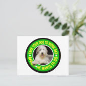 NEEM UW BEARDED COLLIE OM DAG TE WERKEN BRIEFKAART (Staand voorkant)