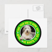 NEEM UW BEARDED COLLIE OM DAG TE WERKEN BRIEFKAART (Voorkant / Achterkant)