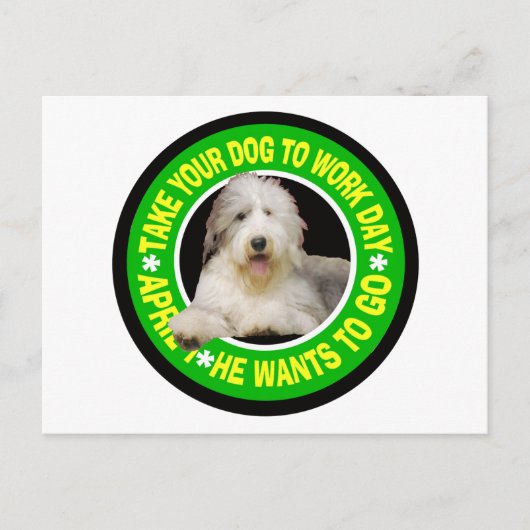 NEEM UW BEARDED COLLIE OM DAG TE WERKEN BRIEFKAART (Voorkant)