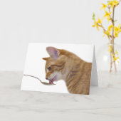 Neem uw geneesmiddel in kaart (Gele Bloem)