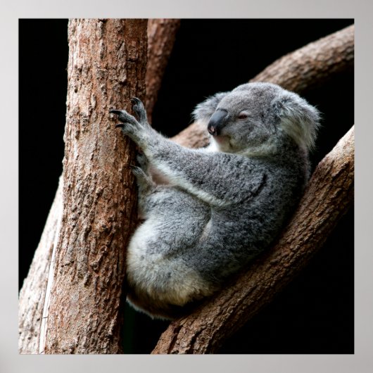 NEEM UW TIJD POSTER (Voorkant)