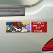 NEEM VANDAAG EEN SCHELPPET AAN BUMPERSTICKER (Op auto)