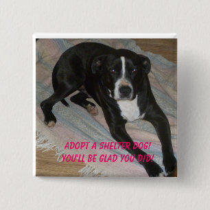 Neem vandaag een Shelter Dog aan! Vierkante Button 5,1 Cm