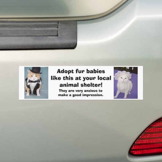 Neem zo'n bontbaby's in je eigen onderdak. bumpersticker (Op auto)