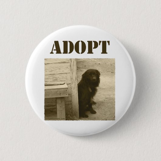 Neem zwerfhond aan ronde button 5,7 cm (Voorkant)