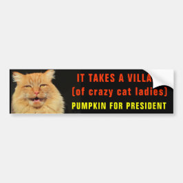 Neemt een dorp voor de Crazy Cat Dames Bumpersticker