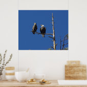 Neergestreken Kaal Eagles Poster (Keuken)