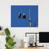Neergestreken Kaal Eagles Poster (Thuiskantoor)