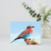 Neergestreken Kleurrijke Afrikaanse Vogel Feestdagenkaart (Staand voorkant)