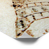 Nefertit, koningin van Egypte Poster (Hoek)