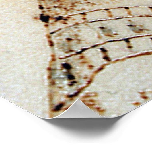 Nefertit, koningin van Egypte Poster (Hoek)