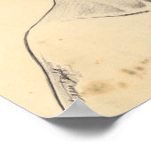 Nefertiti portret tekening Ancient Egypt papyrus Poster (Hoek)