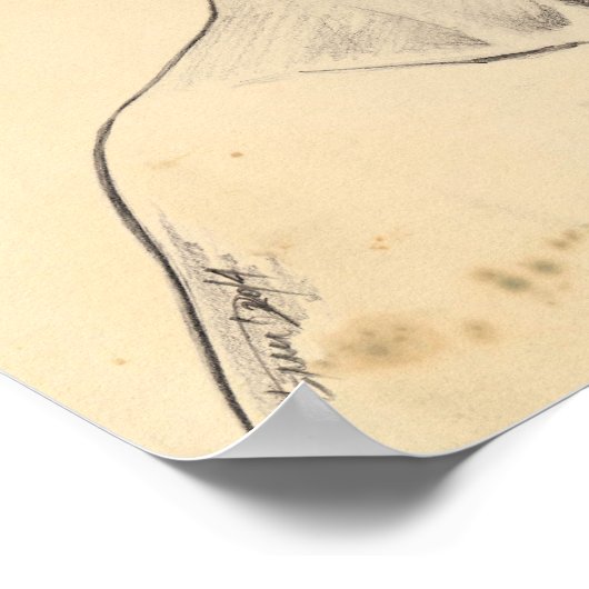 Nefertiti portret tekening Ancient Egypt papyrus Poster (Hoek)