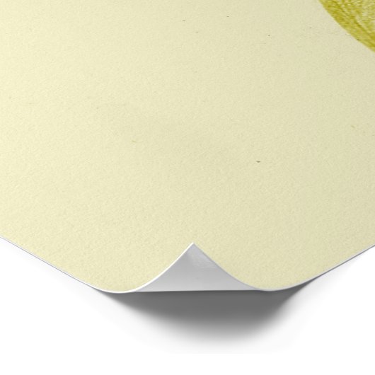 nefertiti reigt suprem poster (Hoek)