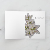 Nefertiti zuiverheid en schoonheid (kaart) kaart (Binnen)