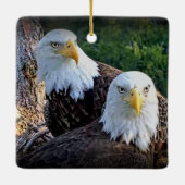 NEFL Beau & Gabby Ornament 2025/2026 (Achterkant)