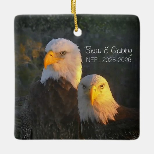 NEFL Beau & Gabby Ornament 2025/2026 (Voorkant)