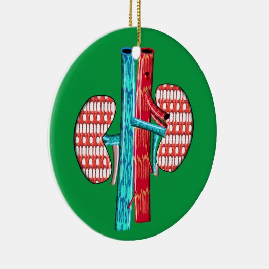 Nefrologie Arterie Nierontwerp Keramisch Ornament (Rechts)