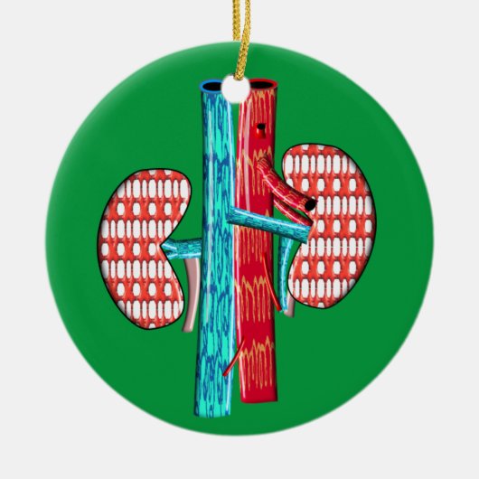 Nefrologie Arterie Nierontwerp Keramisch Ornament (Voorkant)