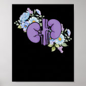 Nefrologie van de nier poster (Voorkant)