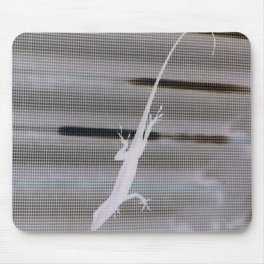 Negatief afbeelding van een hagedis op een venster muismat (Voorkant)