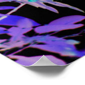 Negatief film effect Waxwing Bird Animal Poster (Hoek)