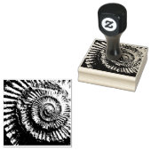 negatieve opdruk van jurassiele ammoniumhydroxide rubberstempel (Gestempeld)