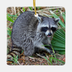 Negeer Me Maar, Ik Ben Even Langs Keramisch Ornament