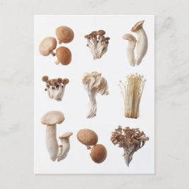 Negen bruine paddenstoelen briefkaart