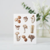 Negen bruine paddenstoelen briefkaart (Staand voorkant)