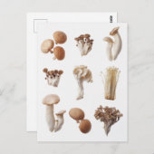 Negen bruine paddenstoelen briefkaart (Voorkant / Achterkant)