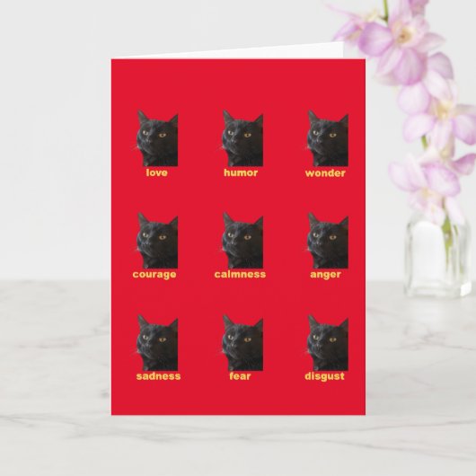 Negen Emoties Van Mijn Kat Vector Uitknip Kaart (Orchidee)
