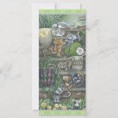 Negen katten (Voorkant)