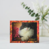 Negen levens kat met herfst blad grens briefkaart (Staand voorkant)