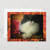 Negen levens kat met herfst blad grens briefkaart (Voorkant / Achterkant)