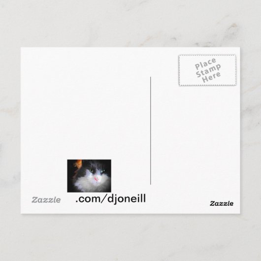 Negen levens kat met herfst blad grens briefkaart (Achterkant)