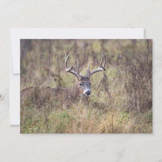 Negen-puntsliggend, blanco notiecard bedankkaart (Voorkant)