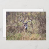 Negen-puntsliggend, blanco notiecard bedankkaart (Voorkant / Achterkant)