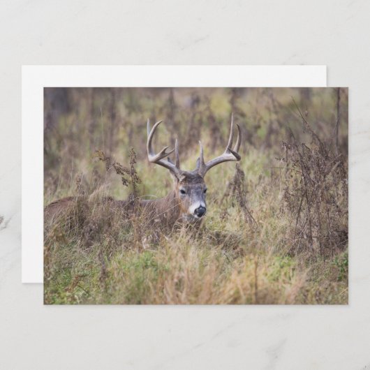 Negen-puntsliggend, blanco notiecard bedankkaart (Voorkant / Achterkant)