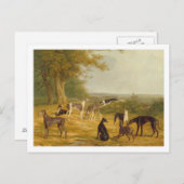 Negen Windhonden in een Landschap (olie op canvas) Briefkaart (Voorkant / Achterkant)
